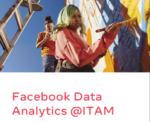 Facebook Data Analytics @ITAM